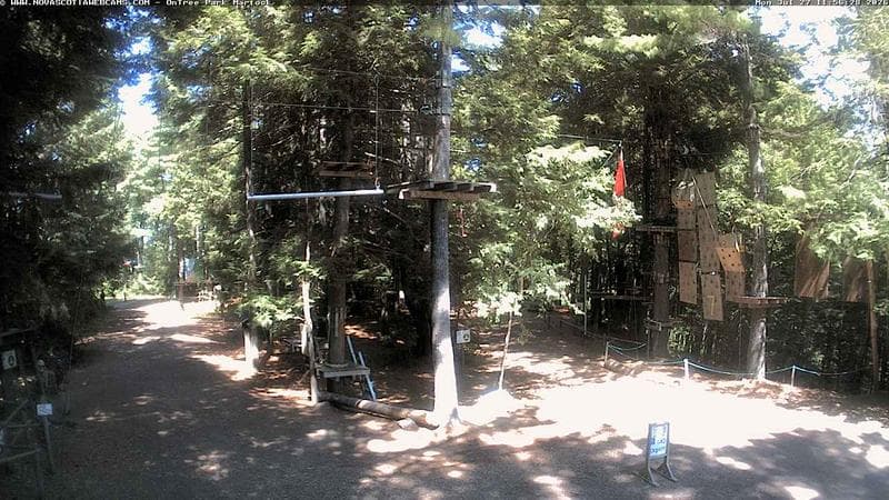 Ontree Park