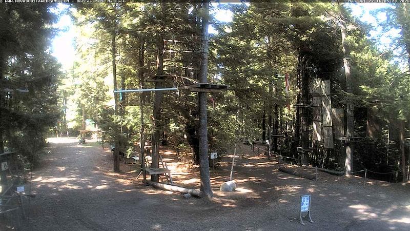 Ontree Park