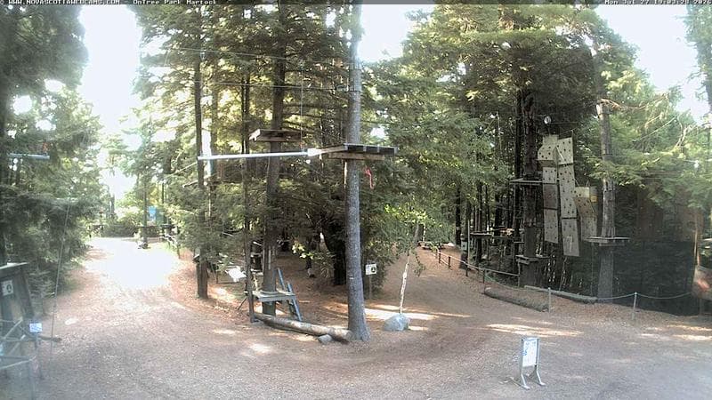 Ontree Park