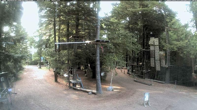 Ontree Park