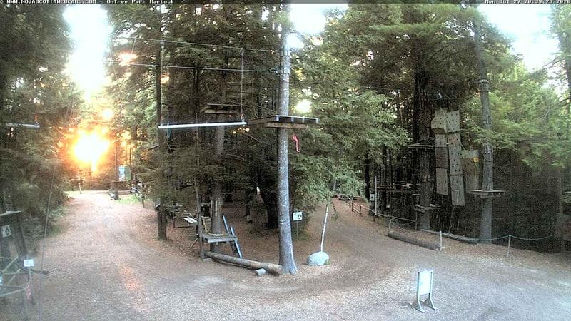Ontree Park