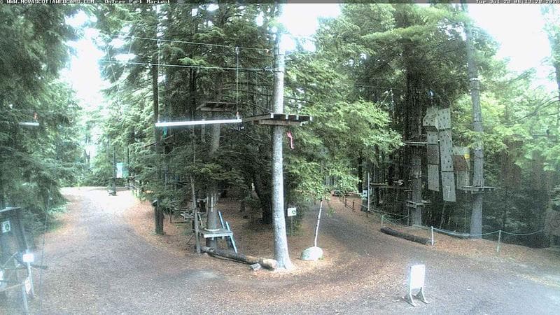 Ontree Park