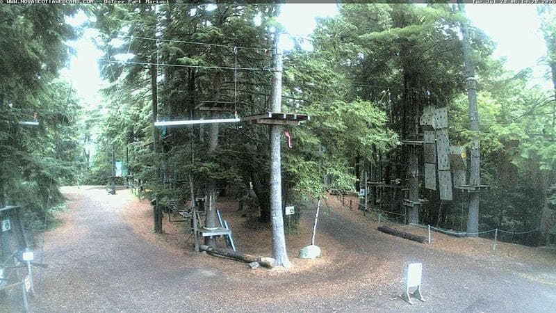 Ontree Park
