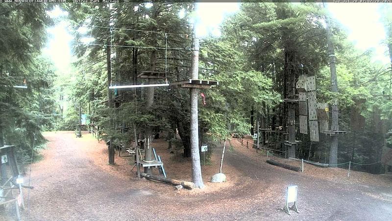 Ontree Park