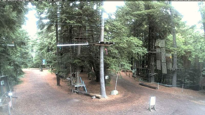 Ontree Park