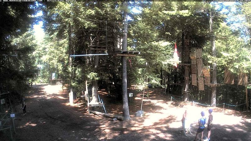 Ontree Park