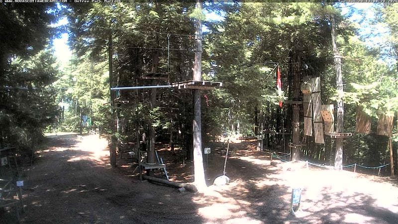 Ontree Park