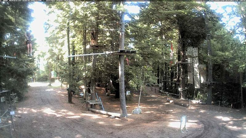 Ontree Park