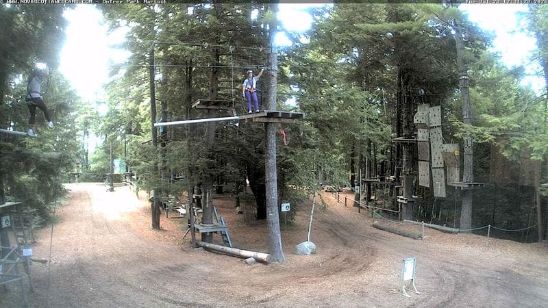 Ontree Park