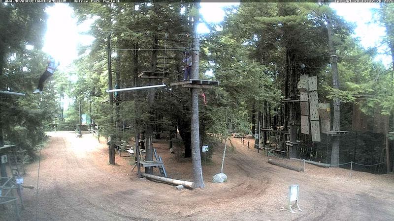 Ontree Park