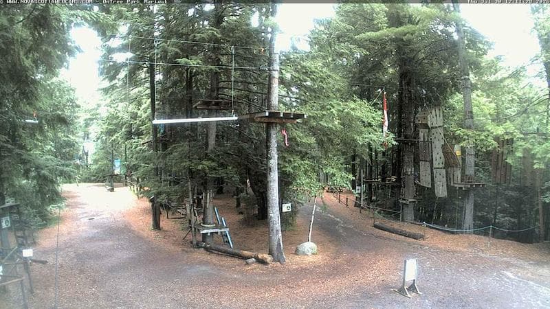 Ontree Park
