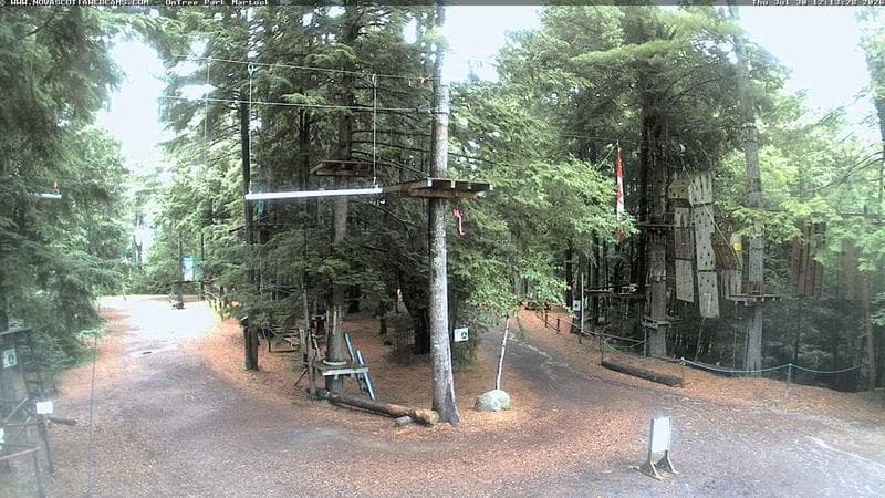 Ontree Park