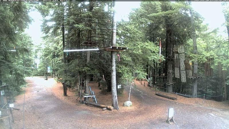 Ontree Park