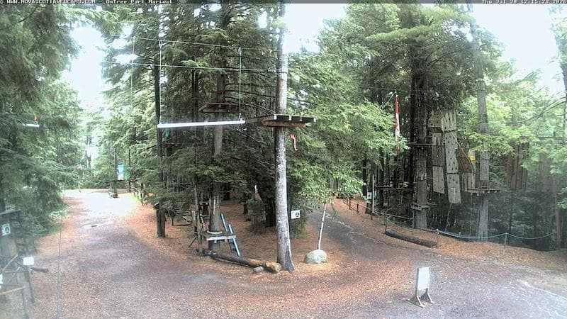 Ontree Park