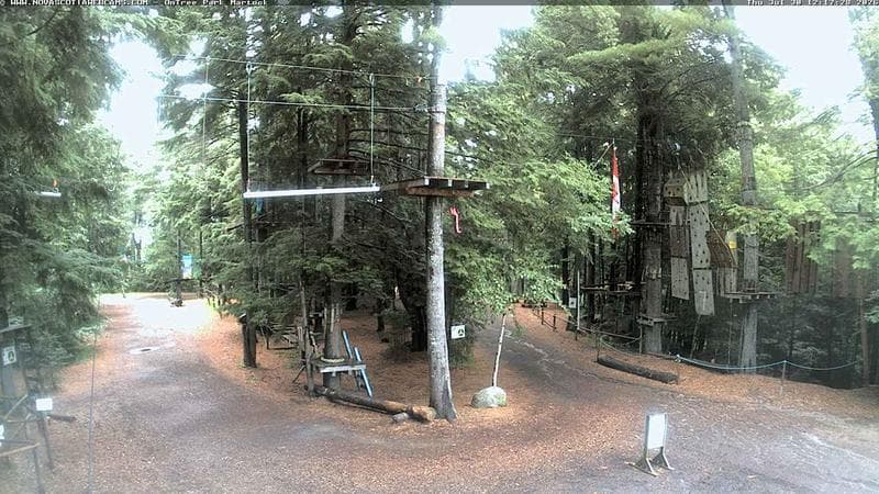 Ontree Park