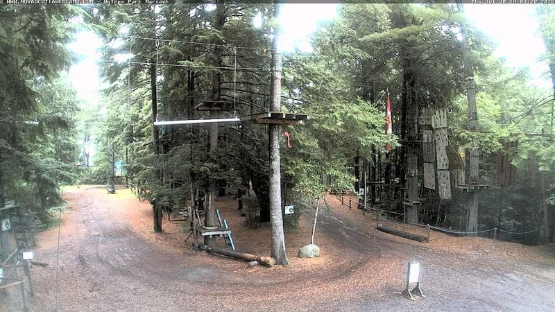 Ontree Park