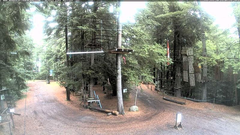 Ontree Park