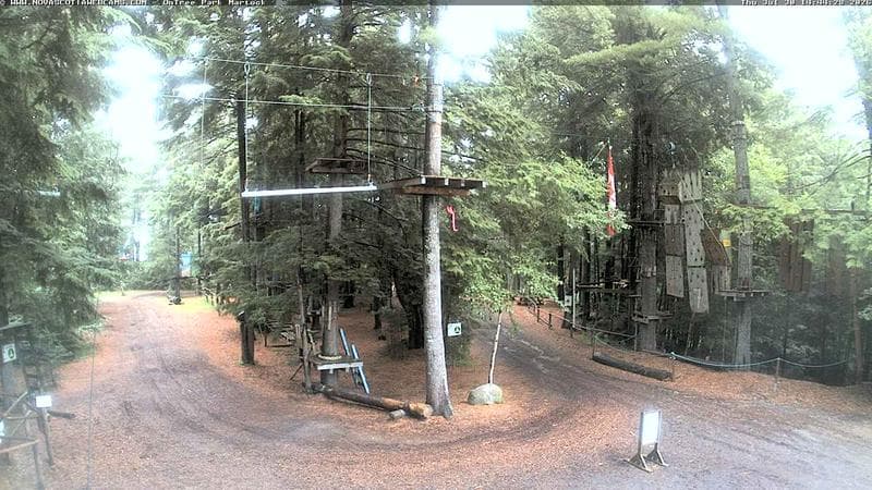 Ontree Park