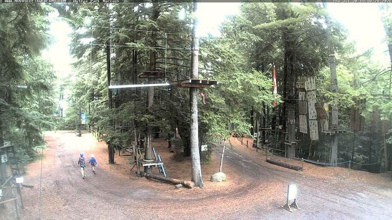 Ontree Park