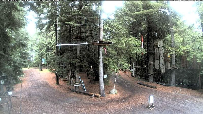 Ontree Park