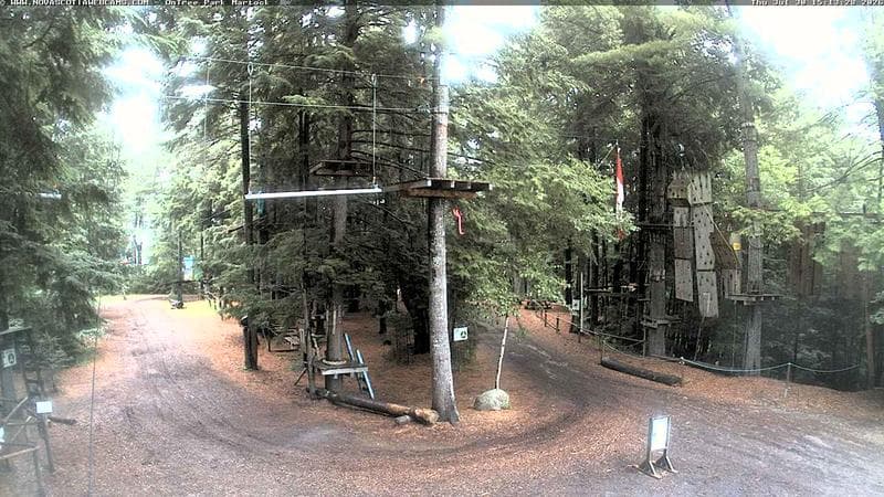 Ontree Park