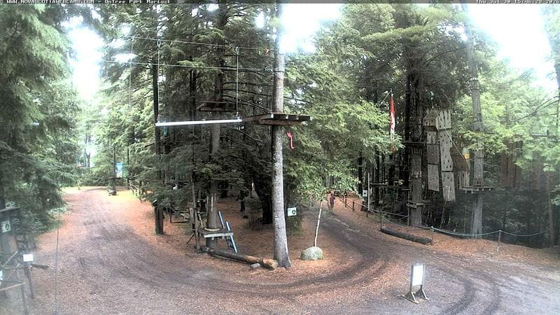 Ontree Park