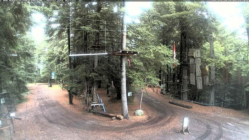 Ontree Park