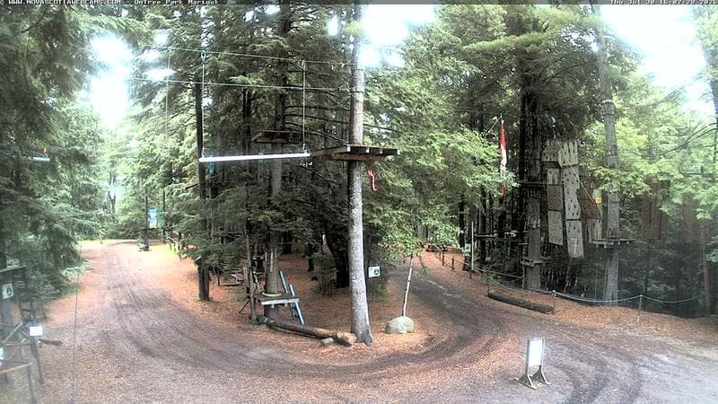 Ontree Park
