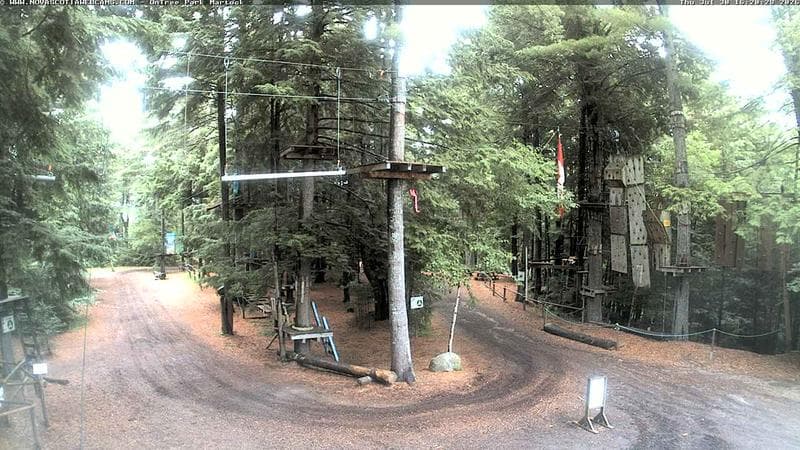 Ontree Park