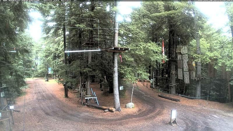 Ontree Park