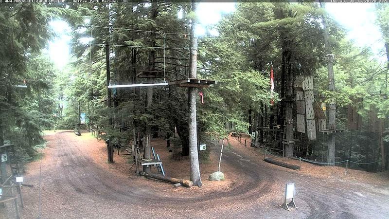 Ontree Park