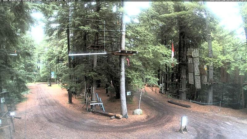 Ontree Park