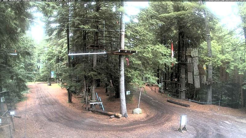 Ontree Park