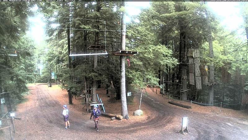 Ontree Park