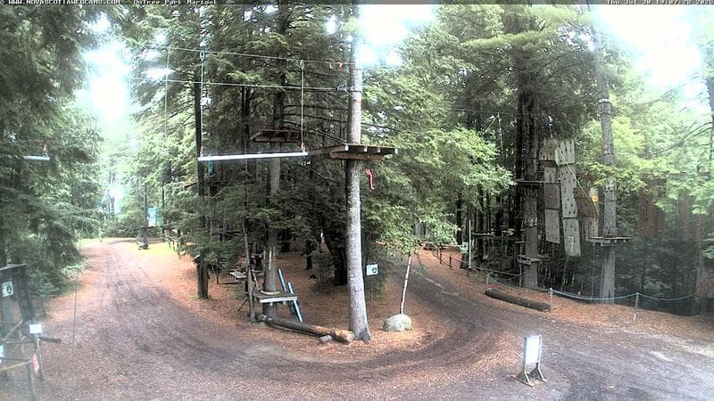 Ontree Park