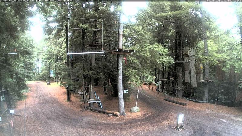 Ontree Park