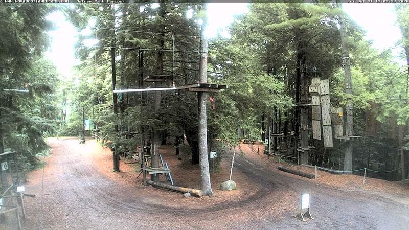 Ontree Park
