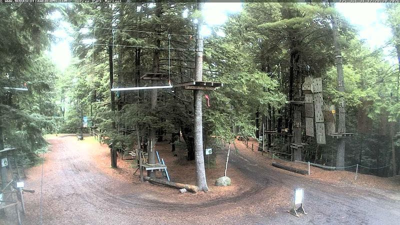 Ontree Park