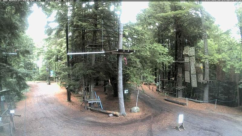 Ontree Park