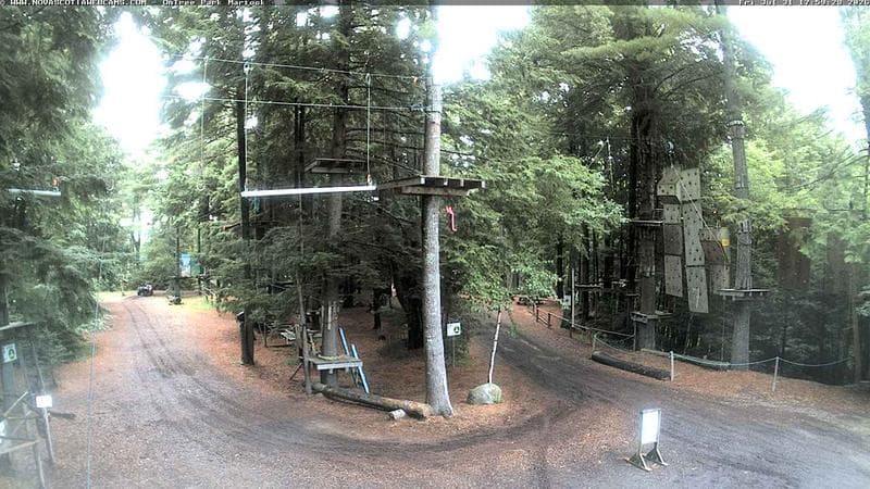 Ontree Park