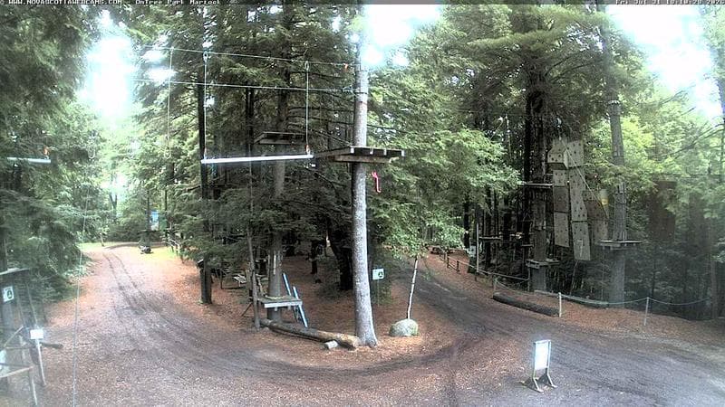 Ontree Park