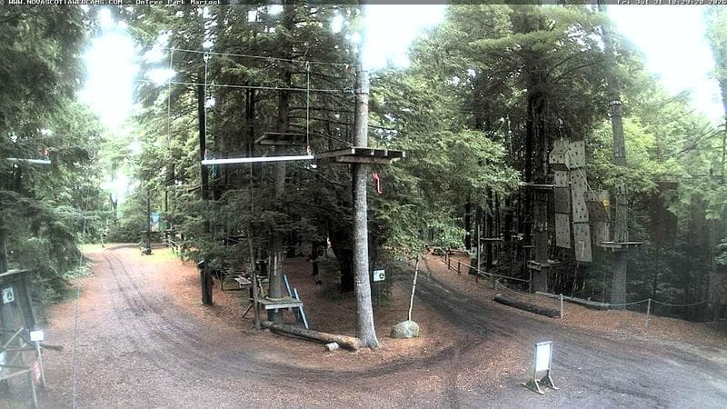 Ontree Park