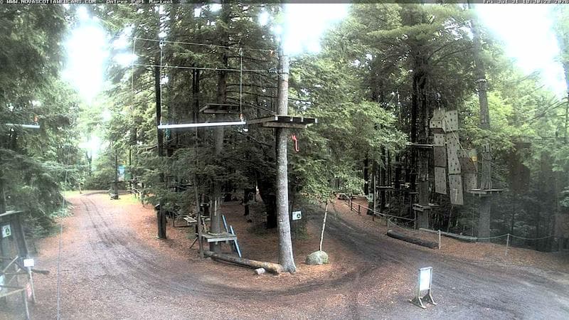 Ontree Park