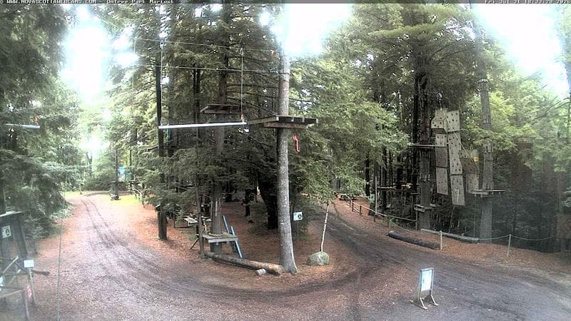 Ontree Park