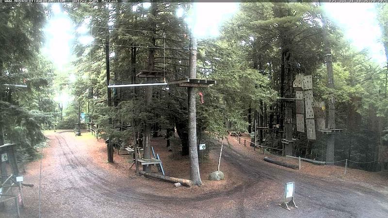 Ontree Park