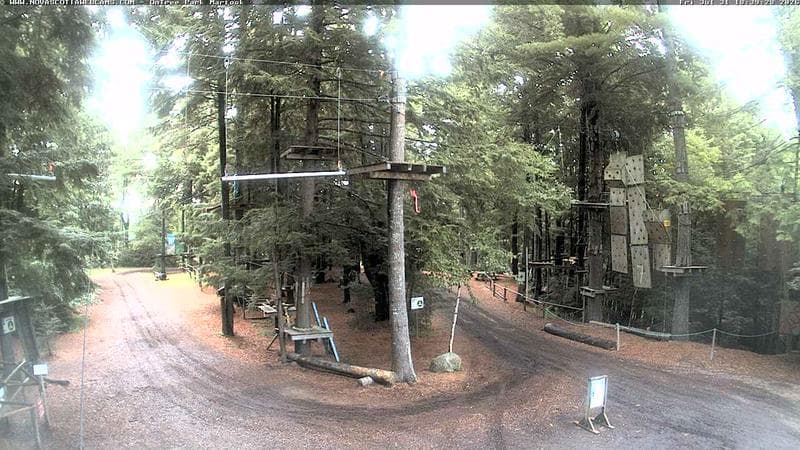 Ontree Park