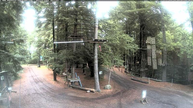 Ontree Park