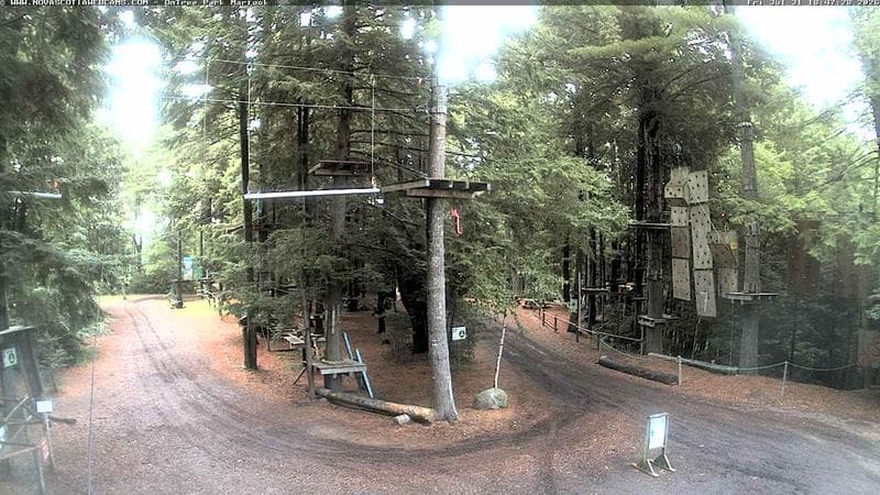 Ontree Park