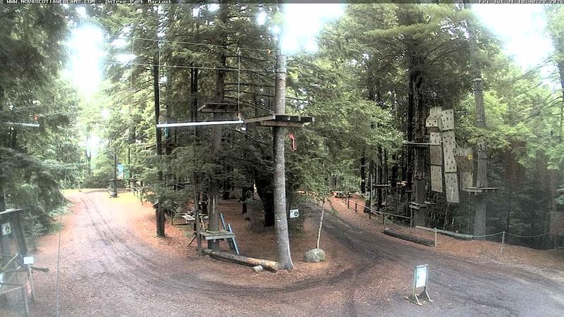 Ontree Park