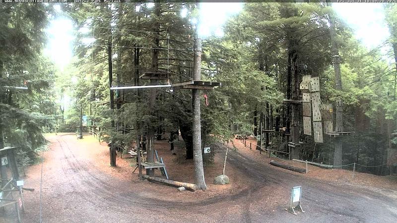 Ontree Park